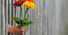 a child's hand holding flowers reaches through a wall.